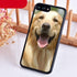 Golden Retriever Dog Cute Puppy Phone Case For Iphone 14 5 6 7 8 Plus X Xr Xs 11 12 13 Pro Max  Ultra Full Protective Liquid Silicone Case Back Cover For Iphone