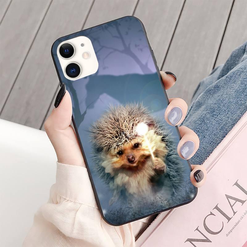 Bright Hedgehog In The Fog Phone Case For Iphone 13 8 7 6 6s Plus X 5s Se 2020 Xr 11 12 Mini Pro Xs Max Screen Protector soft Flexible Silicone Gel Rubber Bumper Cover