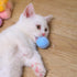 12Pcs/lot Funny Cat Toys Stretch Plush Ball Toys for Cats Colorful Interactive Cat Pom Pom Kitten Toy Pet Supplies  Plush Balls for Training and Kitten Play