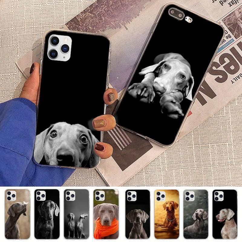 Dog Phone Case For Iphone 11 12 13 Mini Pro Max 8 7 6 6s Plus X 5 Se 2020 Xr Xs Case Shell Cute Funny Pattern Black Phone Case