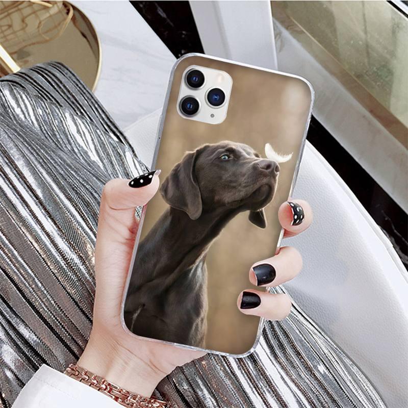 Dog Phone Case For Iphone 11 12 13 Mini Pro Max 8 7 6 6s Plus X 5 Se 2020 Xr Xs Case Shell Cute Funny Pattern Black Phone Case