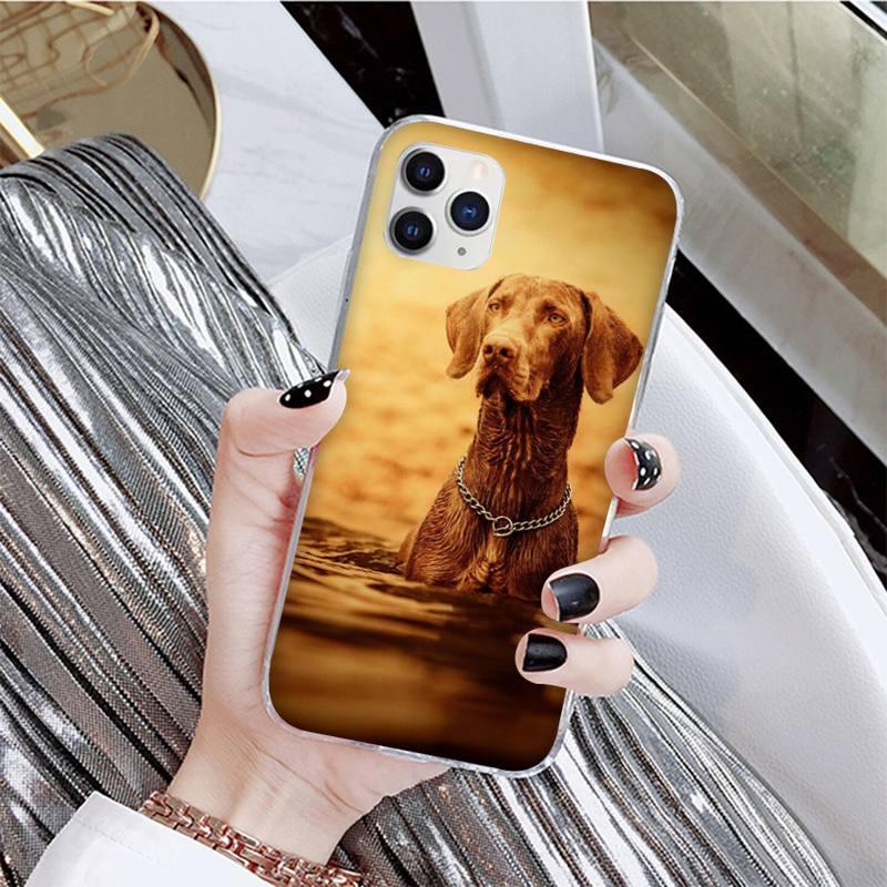 Dog Phone Case For Iphone 11 12 13 Mini Pro Max 8 7 6 6s Plus X 5 Se 2020 Xr Xs Case Shell Cute Funny Pattern Black Phone Case