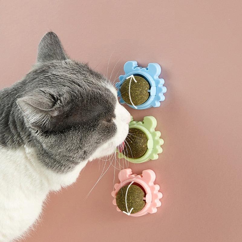 Healthy Cat Toys Ball Cat Candy Licking Snacks Nutrition Snack Nutrition Ball Kitten Cat Toy Cat Supplies Toys Teeth Cleaning Dental Cat Toy Cat Wall Treats Rotatable Ball Dental Lick Toy - HAMNIFY - - Stevvex.com