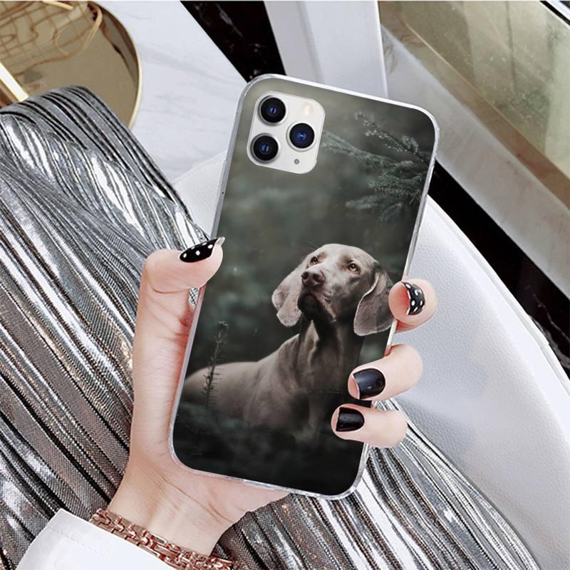 Dog Phone Case For Iphone 11 12 13 Mini Pro Max 8 7 6 6s Plus X 5 Se 2020 Xr Xs Case Shell Cute Funny Pattern Black Phone Case