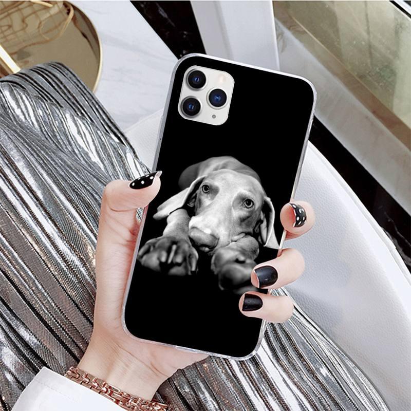 Dog Phone Case For Iphone 11 12 13 Mini Pro Max 8 7 6 6s Plus X 5 Se 2020 Xr Xs Case Shell Cute Funny Pattern Black Phone Case