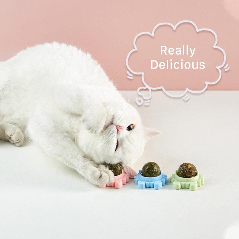 Healthy Cat Toys Ball Cat Candy Licking Snacks Nutrition Snack Nutrition Ball Kitten Cat Toy Cat Supplies Toys Teeth Cleaning Dental Cat Toy Cat Wall Treats Rotatable Ball Dental Lick Toy - HAMNIFY - - Stevvex.com