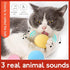 3 Colors Cat Toys New Gravity Ball Smart Touch Sounding Toys Interactive Pet Toys Toys Pet Training Ball Toy Supplies Interactive Cat Toy Ball of Sounds for Cats