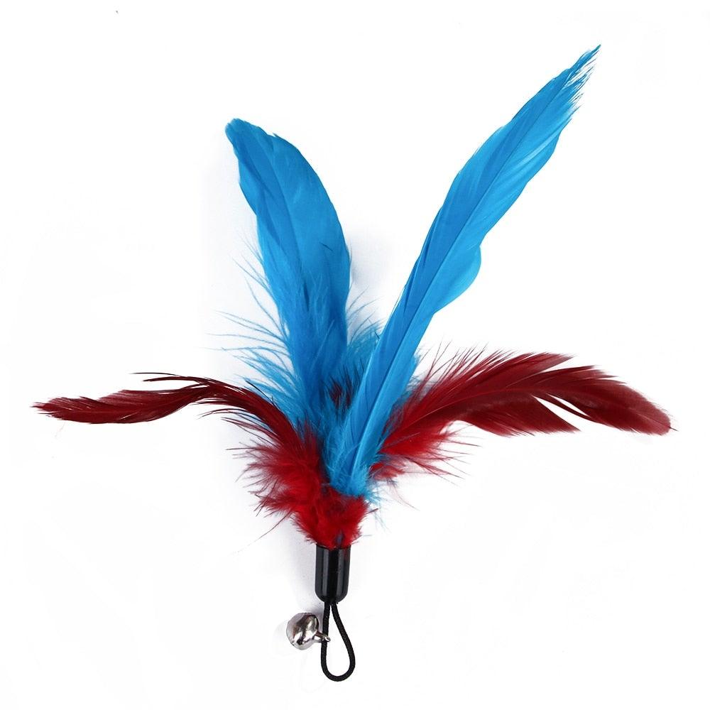 Cat Feather Toy Set Cat Feather Teaser Wand Toy for Kitten Cat Having Fun Exercise Playing Without the Stick Interactive Cat Feather Toys  Retractable Cat Wand Toy and Feathers Teaser Refills Cat Toys for Indoor