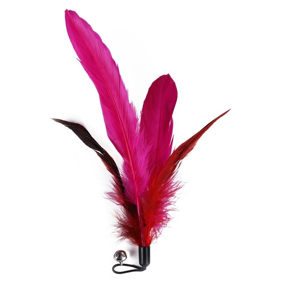 Cat Feather Toy Set Cat Feather Teaser Wand Toy for Kitten Cat Having Fun Exercise Playing Without the Stick Interactive Cat Feather Toys  Retractable Cat Wand Toy and Feathers Teaser Refills Cat Toys for Indoor