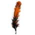 Cat Feather Toy Set Cat Feather Teaser Wand Toy for Kitten Cat Having Fun Exercise Playing Without the Stick Interactive Cat Feather Toys  Retractable Cat Wand Toy and Feathers Teaser Refills Cat Toys for Indoor