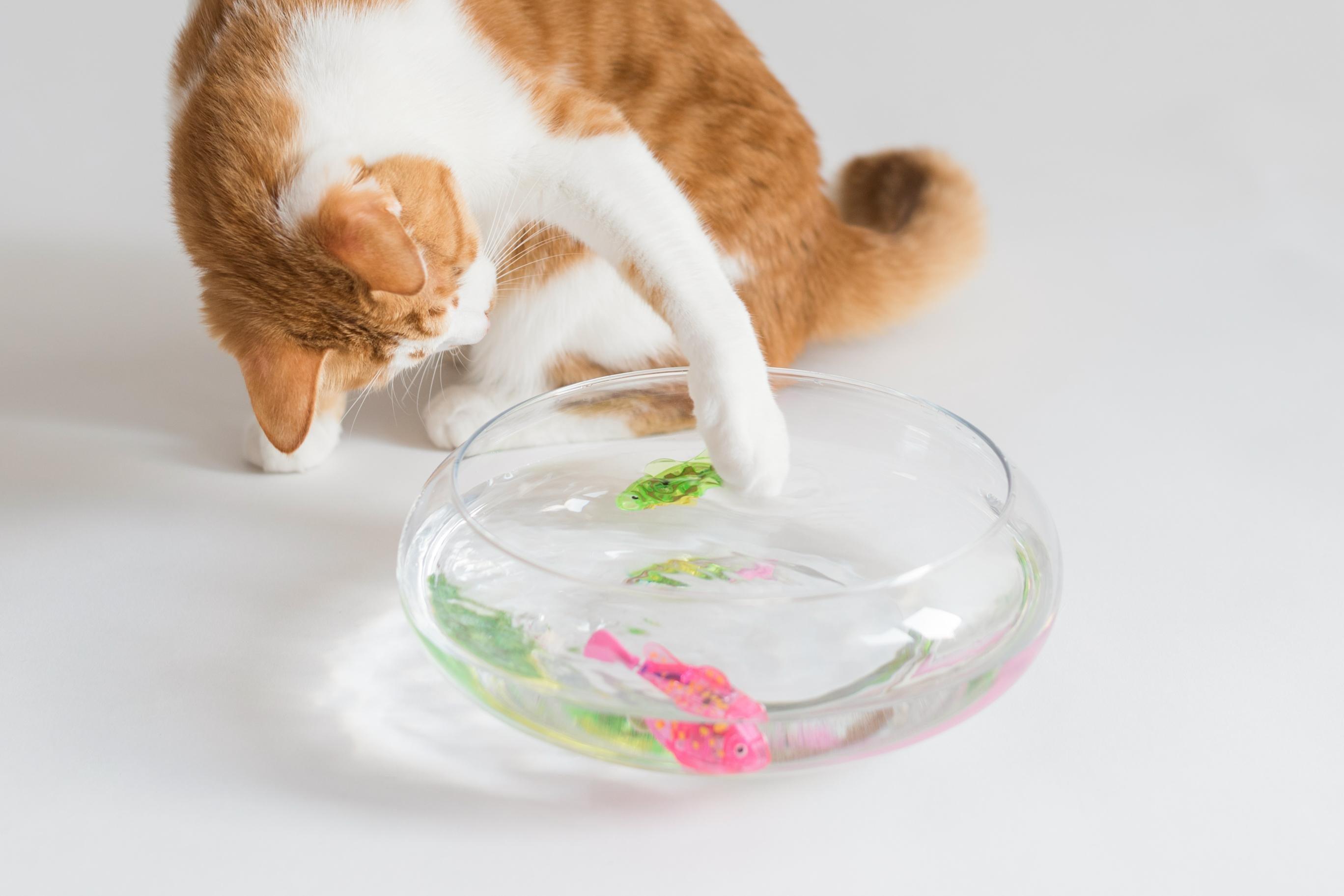 Cat Interactive Electric Fish Toy Water Cat Toy for Indoor Play Swimming Robot Fish Toy for Cat and Dog with LED Light  Pet Toys New Bath Toys Interactive Plastic Fish Toys Electronic Cat Toy Gift to Stimulate Your Pet's Hunter Instincts