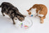 Cat Interactive Electric Fish Toy Water Cat Toy for Indoor Play Swimming Robot Fish Toy for Cat and Dog with LED Light  Pet Toys New Bath Toys Interactive Plastic Fish Toys Electronic Cat Toy Gift to Stimulate Your Pet's Hunter Instincts