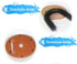 Comfortable Arch Cats Massager Pet Cat Itching Grooming Supplies Round Fleece Base Kitten Toy Scratching Device Brush For Cat Arch Self Grooming and Massaging Brush Toy Pet Scratcher Pads Hair Cleaner - STEVVEX Pet - 126, animal toys, cat soft brush, cat soft toy, cat toy, cat toys, cats, cats tools, Cats Toys Fun, funny playing cats toys, kiten playing gadgets, kiten playing toys, kitten soft toys, kitten toys, massage toys, playing cat toy, playing toy - Stevvex.com