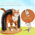 Comfortable Arch Cats Massager Pet Cat Itching Grooming Supplies Round Fleece Base Kitten Toy Scratching Device Brush For Cat Arch Self Grooming and Massaging Brush Toy Pet Scratcher Pads Hair Cleaner - STEVVEX Pet - 126, animal toys, cat soft brush, cat soft toy, cat toy, cat toys, cats, cats tools, Cats Toys Fun, funny playing cats toys, kiten playing gadgets, kiten playing toys, kitten soft toys, kitten toys, massage toys, playing cat toy, playing toy - Stevvex.com