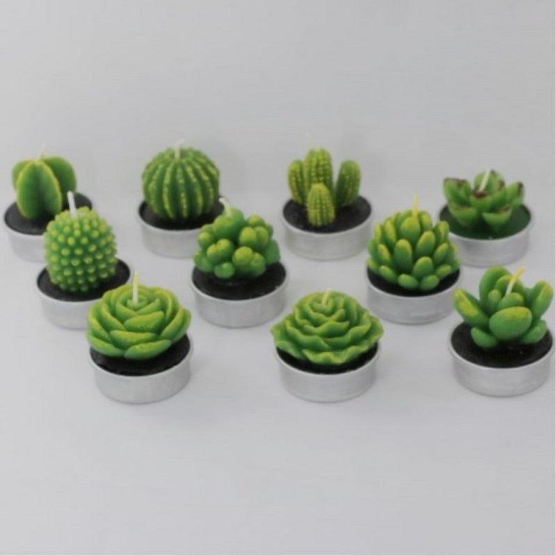 Mini Delicate Succulent Plants Candles Cactus Tea light Candles Handmade Delicate Succulent Cactus Candles Flameless Aromatherapy Candles For Birthday Party Wedding Spa Handmade Aromatherapy Candles For Birthday Party Wedding Home Decor Plant Candle