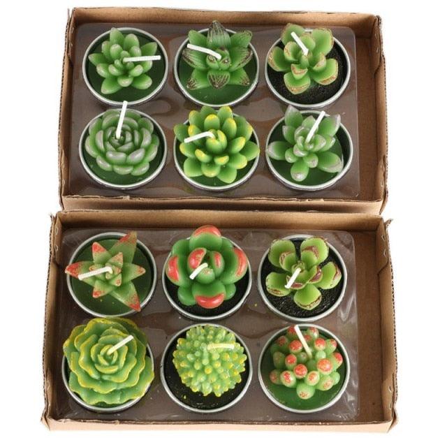 Mini Delicate Succulent Plants Candles Cactus Tea light Candles Handmade Delicate Succulent Cactus Candles Flameless Aromatherapy Candles For Birthday Party Wedding Spa Handmade Aromatherapy Candles For Birthday Party Wedding Home Decor Plant Candle