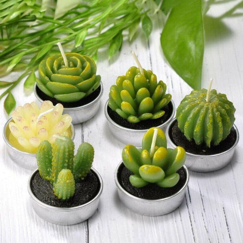 Mini Delicate Succulent Plants Candles Cactus Tea light Candles Handmade Delicate Succulent Cactus Candles Flameless Aromatherapy Candles For Birthday Party Wedding Spa Handmade Aromatherapy Candles For Birthday Party Wedding Home Decor Plant Candle