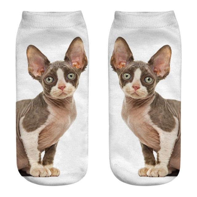 New Cartoon Cat Socks 3D Print Art Funny Socks Women Cute Low Cut Ankle Socks Made o Pure Cotton Short Socks Trending Fashion Short Ankle Socks For Men And Women