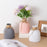 Plastic Vases Anti-ceramic Unbreakable Basket Imitation Rattan Flower Vase For Home Décor Desktop Decoration Living Room Office or Bookshelf