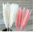 30pcs Natural Dried Pampas Grass Bouquet Pampas Grass Reeds Flowers Bulrush Bouquets Durable For for Vase Artificial Grass Room Décor Wedding Decorations