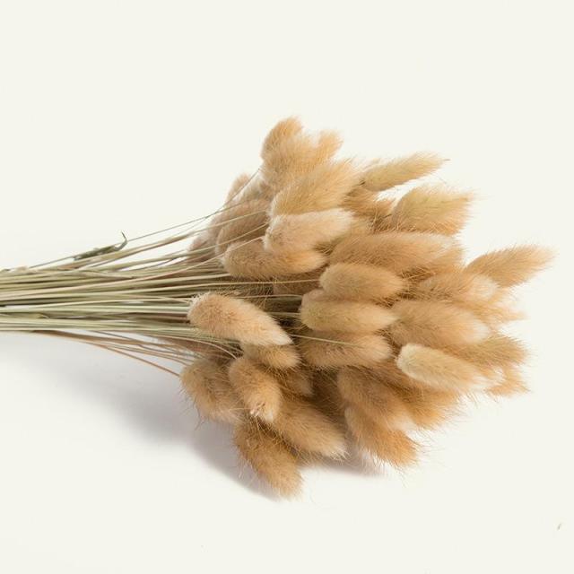 30pcs Natural Dried Pampas Grass Bouquet Pampas Grass Reeds Flowers Bulrush Bouquets Durable For for Vase Artificial Grass Room Décor Wedding Decorations