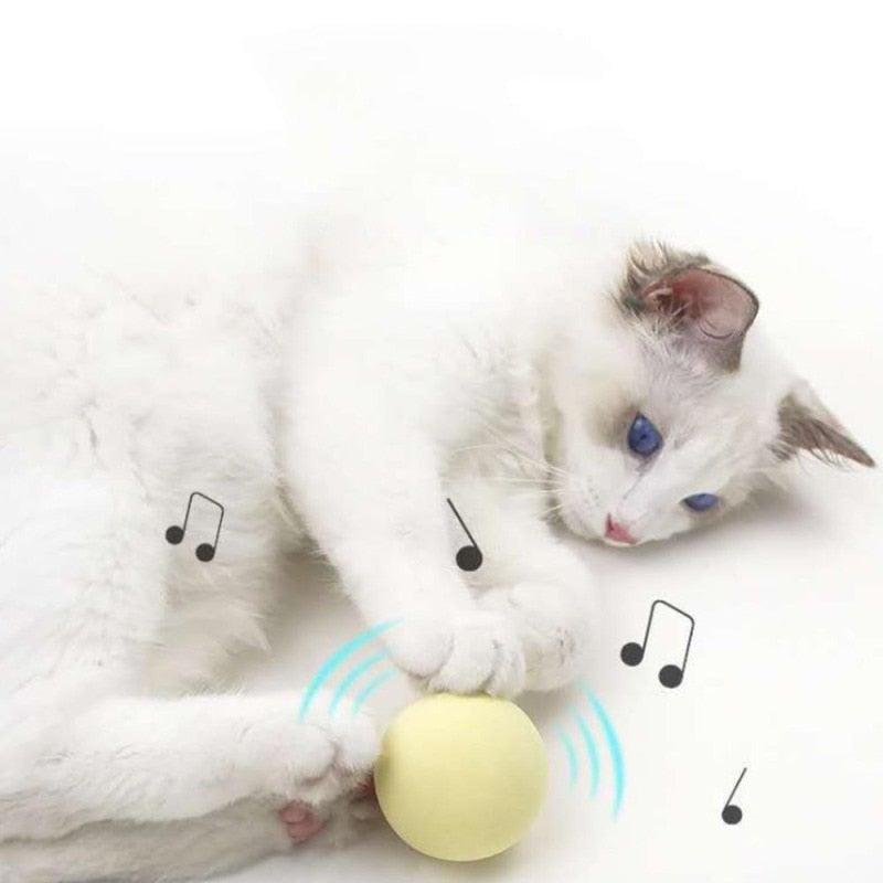 Smart Cat Toys Ball Catnip Cat Training Toy Pet Playing Ball Pet Products Toy for Cats Interactive Chirping Balls Cat Kicker Toys Fun Catnip Toys for Cat Exercise