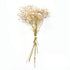 Natural Gypsophila Dried Flowers Mini Babysbreath Flower Preserve Floral  Decor Bouquet Wedding Party Home Backdrop Decor 12cm