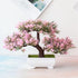 New Artificial Plants Pine Bonsai Potted  Decorative Green Small Trees Fake Flowers Ornament For Home Garden Decoration