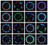 1PC Bike Spoke Light Mini LED Bicycle Wheel Decorative Tire Valve Caps Lamp Cycling Warning Lights LED Bicycle Wheel Lights Neon Flashing Lamp Glow In The Dark Cool Safe Accessories