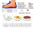 Modern Slippers Summer Sandals Loafers Tennis Outdoor Training Beach Clogs Unisex Garden Clogs Shoes Summer Slip On Outdoor Sandals For Men