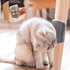 Self Groomer Cat Brush Angle Cat Massager Cat Accessories Self-raising Beautician Massage Comb Cat Toy Cat Supplies Teasing Cat Self Groomer Cat Brush Interactive Cat Toy - STEVVEX Pet - 126, animal toys, cat brush, cat playing toy, cat self grommer brush, cat soft brush, cat soft toy, cat toy, cat toys, cats, cats tools, Cats Toys Fun, funny playing cats toys, kitten fun tool, kitten playing toys, kitten toys - Stevvex.com