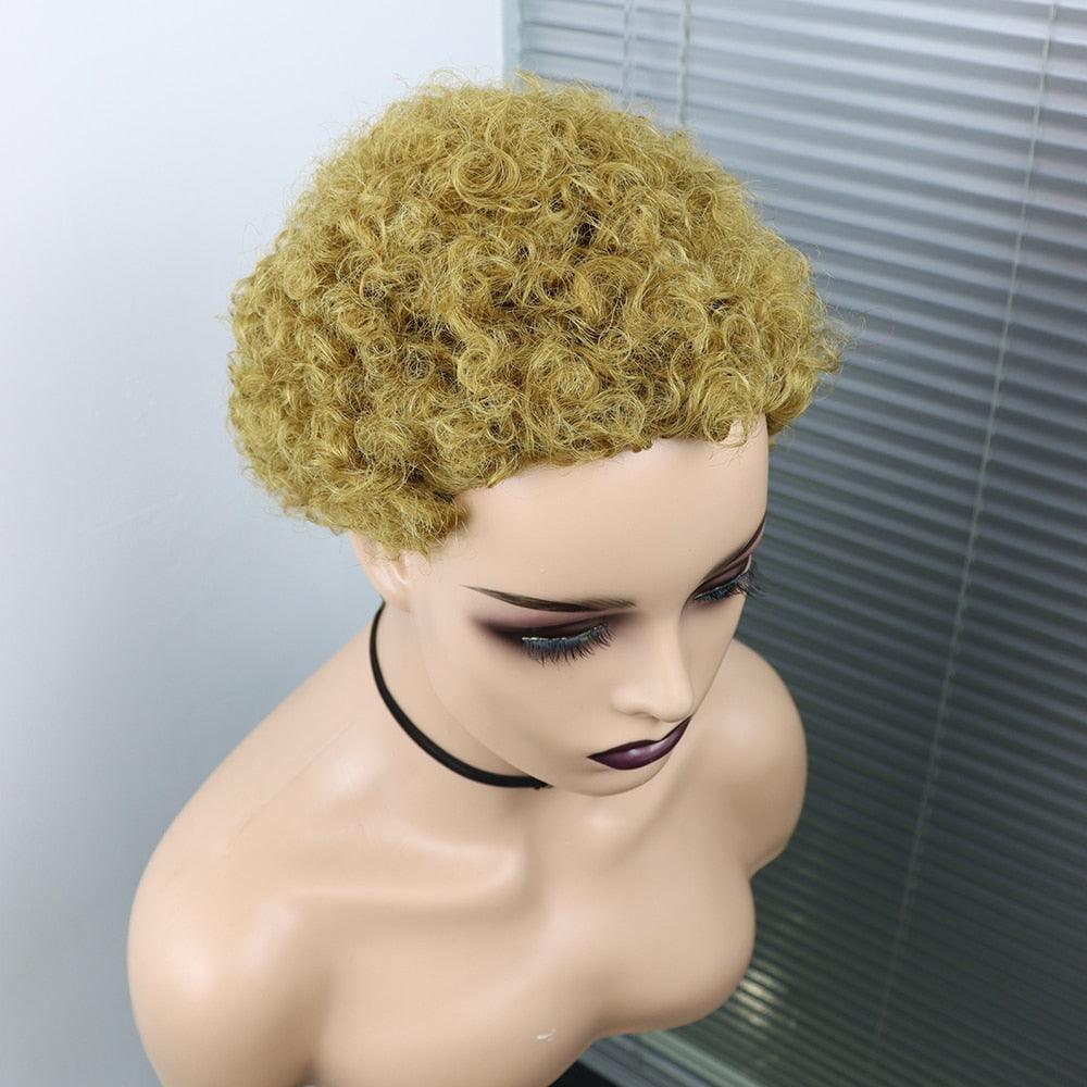 Short Curly Hair Wigs Pixie Cut Brazilian Human Hair For Black Women Natural Black 150% Density Glueless Afro Kinky Curly Human Hair Wig For Black Women Gifts for Girlfriends