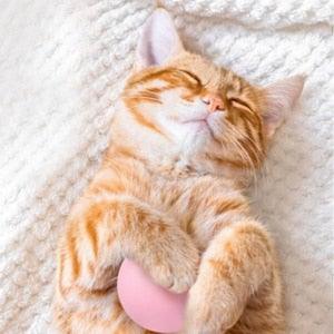 Smart Cat Toys Ball Catnip Cat Training Toy Pet Playing Ball Pet Products Toy for Cats Interactive Chirping Balls Cat Kicker Toys Fun Catnip Toys for Cat Exercise