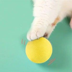 Smart Cat Toys Ball Catnip Cat Training Toy Pet Playing Ball Pet Products Toy for Cats Interactive Chirping Balls Cat Kicker Toys Fun Catnip Toys for Cat Exercise