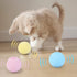 Smart Cat Toys Ball Catnip Cat Training Toy Pet Playing Ball Pet Products Toy for Cats Interactive Chirping Balls Cat Kicker Toys Fun Catnip Toys for Cat Exercise