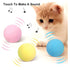 Smart Cat Toys Interactive Ball with Catnip Cat Training Squeaky Fidget Toys Cats Products for Pets Fluffy Plush Cat Ball Toys Interactive Chirping Balls Cat Kicker Toy Animal Chirping Sounds Fun Catnip Toys for Cat Exercise