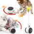 Swing Toys for Cats Kitten Interactive Balance Car Cat Chasing Toy With Catnip Funny Pet Products Indoor Cats Chaser Toys with Feather Catnip Ball Balanced Exercise Wheel Toy for Cats Chasing Hunting Playing - STEVVEX Pet - 126, animal toys, cat playing toy, cat soft toy, cat toy, cat toys, cat toys with catnip, cats tools, Cats Toys Fun, funny playing cats toys, kiten playing gadgets, kiten playing toys, kitten soft toys, kitten toys - Stevvex.com