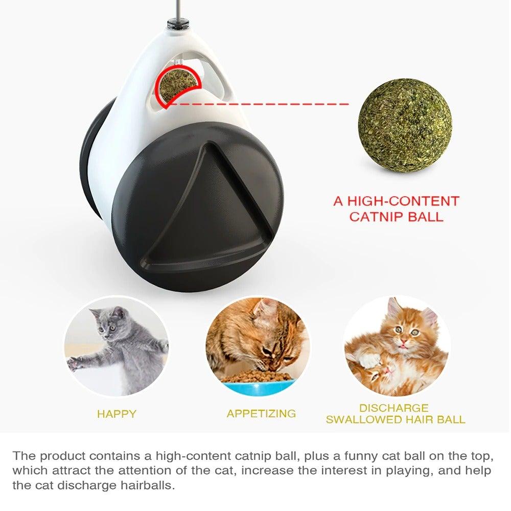 Swing Toys for Cats Kitten Interactive Balance Car Cat Chasing Toy With Catnip Funny Pet Products Indoor Cats Chaser Toys with Feather Catnip Ball Balanced Exercise Wheel Toy for Cats Chasing Hunting Playing - STEVVEX Pet - 126, animal toys, cat playing toy, cat soft toy, cat toy, cat toys, cat toys with catnip, cats tools, Cats Toys Fun, funny playing cats toys, kiten playing gadgets, kiten playing toys, kitten soft toys, kitten toys - Stevvex.com