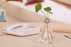 Transparent Glass Bulb Lamp Shape Flower Water Plant Hanging Vase Hydroponic Container Pot For Home Wedding Decoration for Wedding Living Room, Office Party Gift Vase