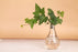 Transparent Glass Bulb Lamp Shape Flower Water Plant Hanging Vase Hydroponic Container Pot For Home Wedding Decoration for Wedding Living Room, Office Party Gift Vase