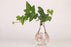 Transparent Glass Bulb Lamp Shape Flower Water Plant Hanging Vase Hydroponic Container Pot For Home Wedding Decoration for Wedding Living Room, Office Party Gift Vase